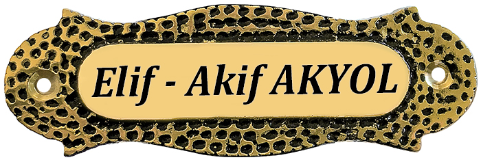 PDK11 Pirinç Döküm Ev Dış Kapı İsimliği